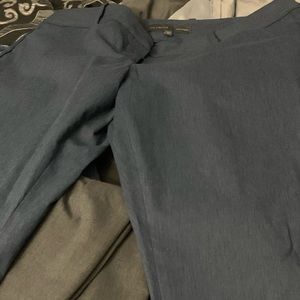 The limited dress slacks